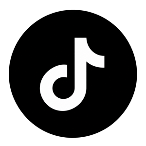 TikTok300