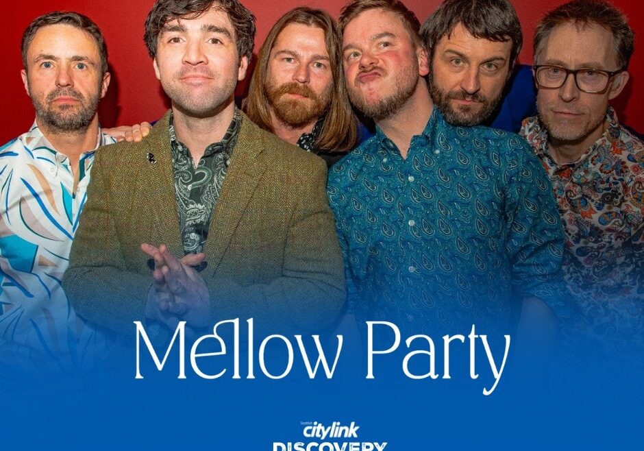 HF - DS (FB) - Mellow Party