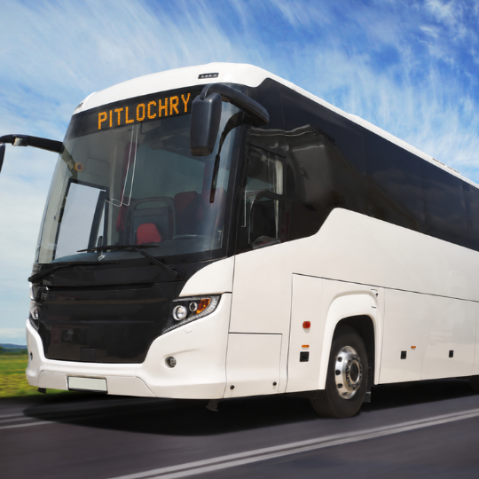 Local Shuttle Buses